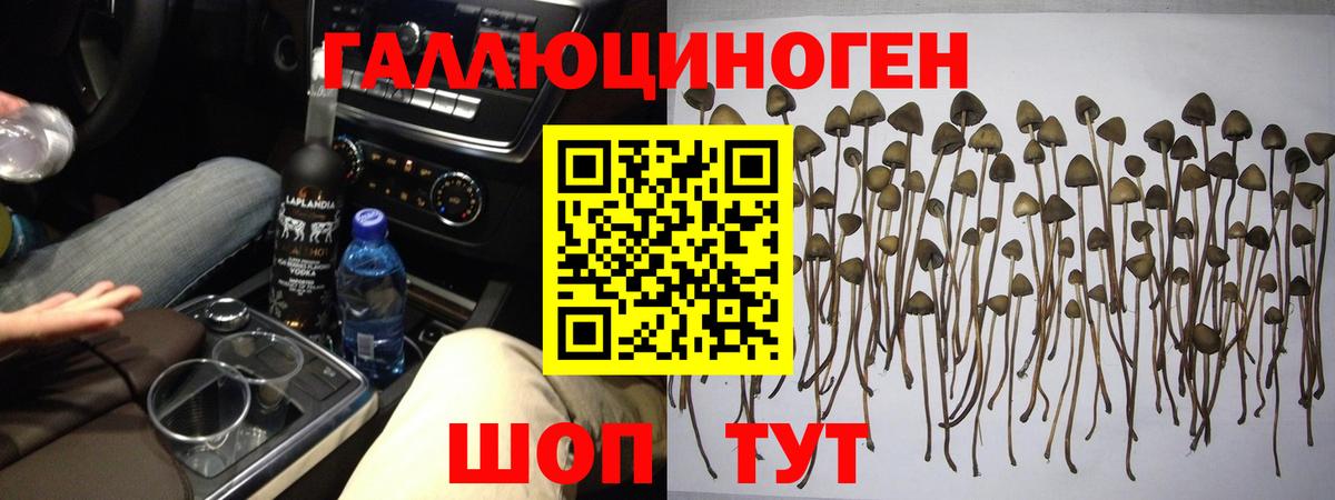 Псилоцибиновые грибы MAGIC MUSHROOMS Когалым