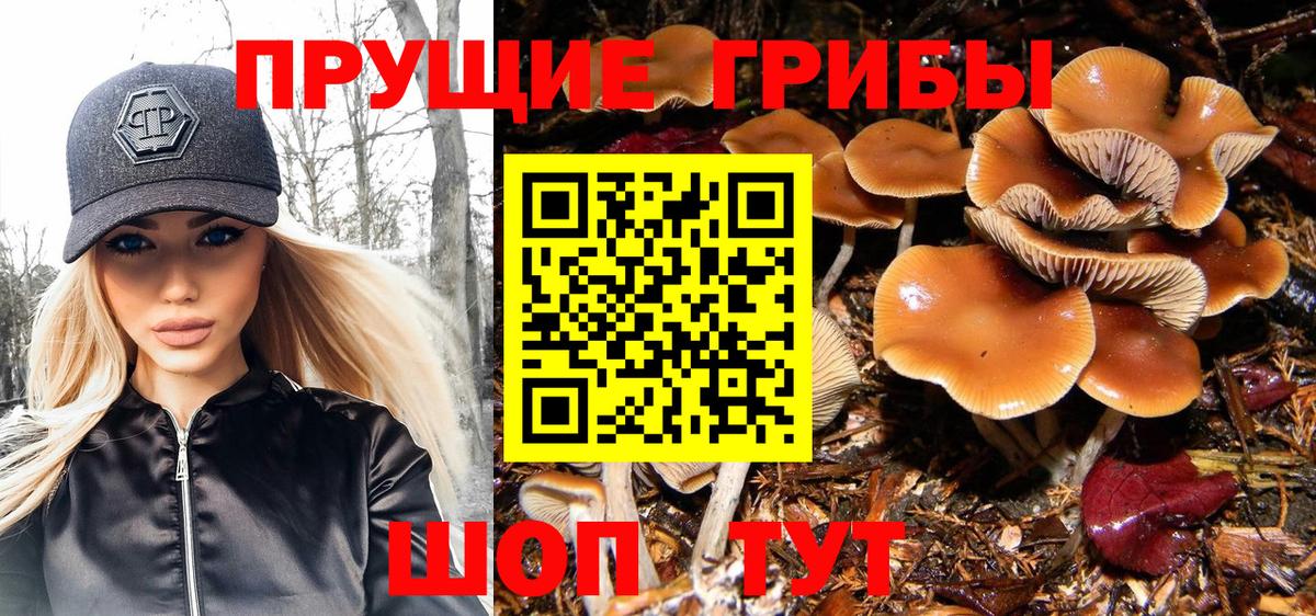 Когалым  Галлюциногенные грибы мицелий  Вход с VPN 